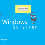 WINDOWS SURVIVOR